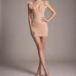 【Party & Event】 Mini Bodycon Polyester Sexy Round Neck Ruffle Mesh Spliced - MYTHSIS